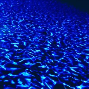 Meet your Posher, Dakota